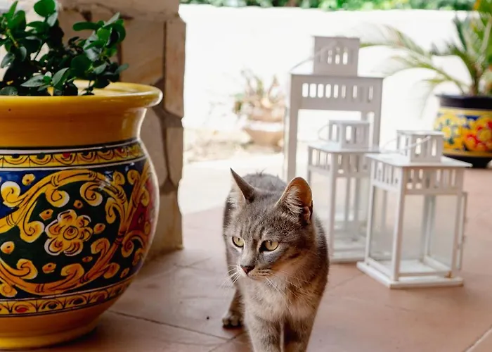 Nikla سيراكوزا