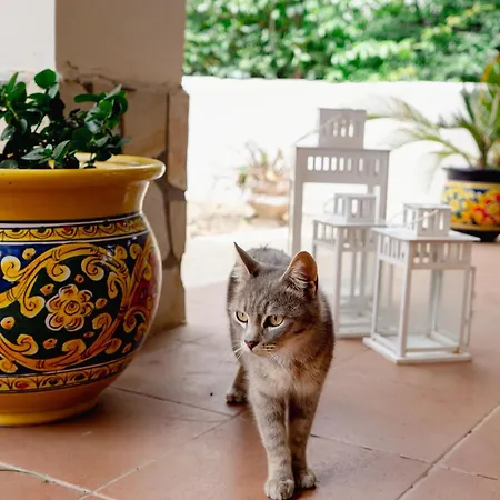 Nikla Συρακούσες