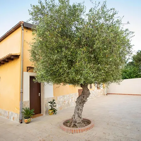 Nikla * Συρακούσες